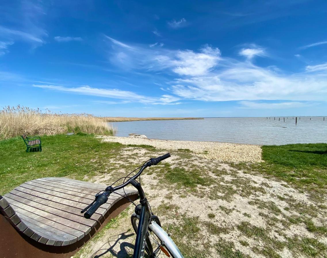 Sammer Residenz, Breitenbrunn Am Neusiedlersee 外观 照片